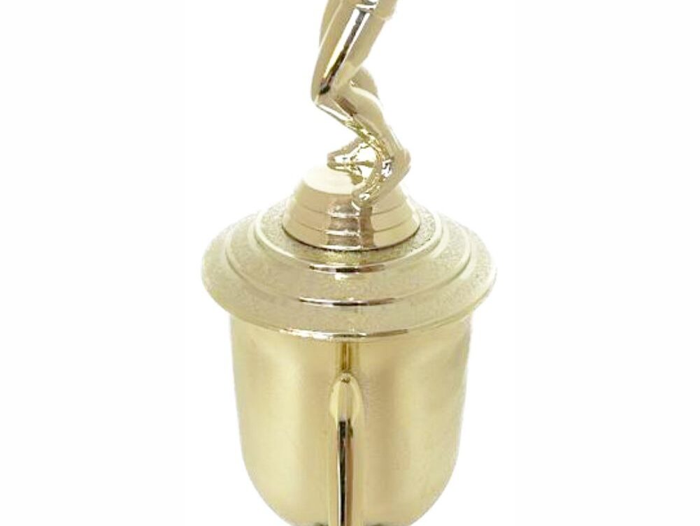 Volleyball Male Trophy 340mm
