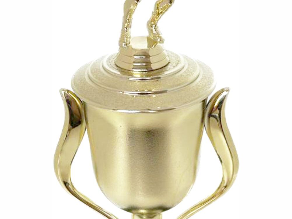 Volleyball Male Trophy 480mm