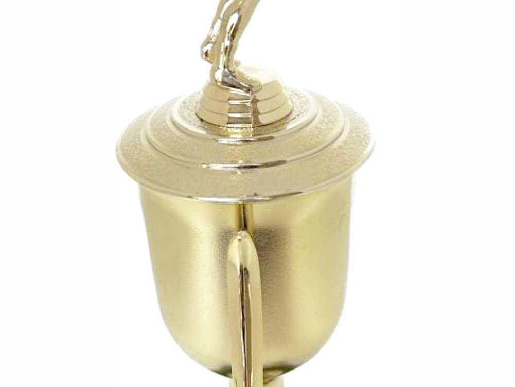 Volleyball Male Trophy 480mm