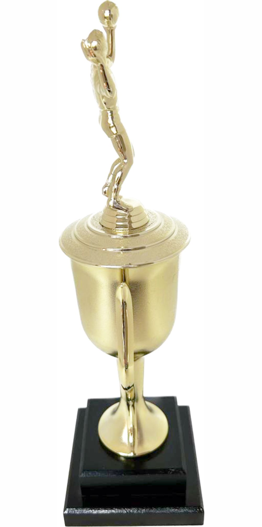 Volleyball Male Trophy 480mm