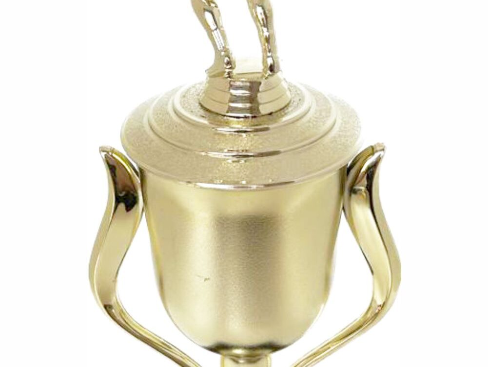 Volleyball Male Trophy 480mm