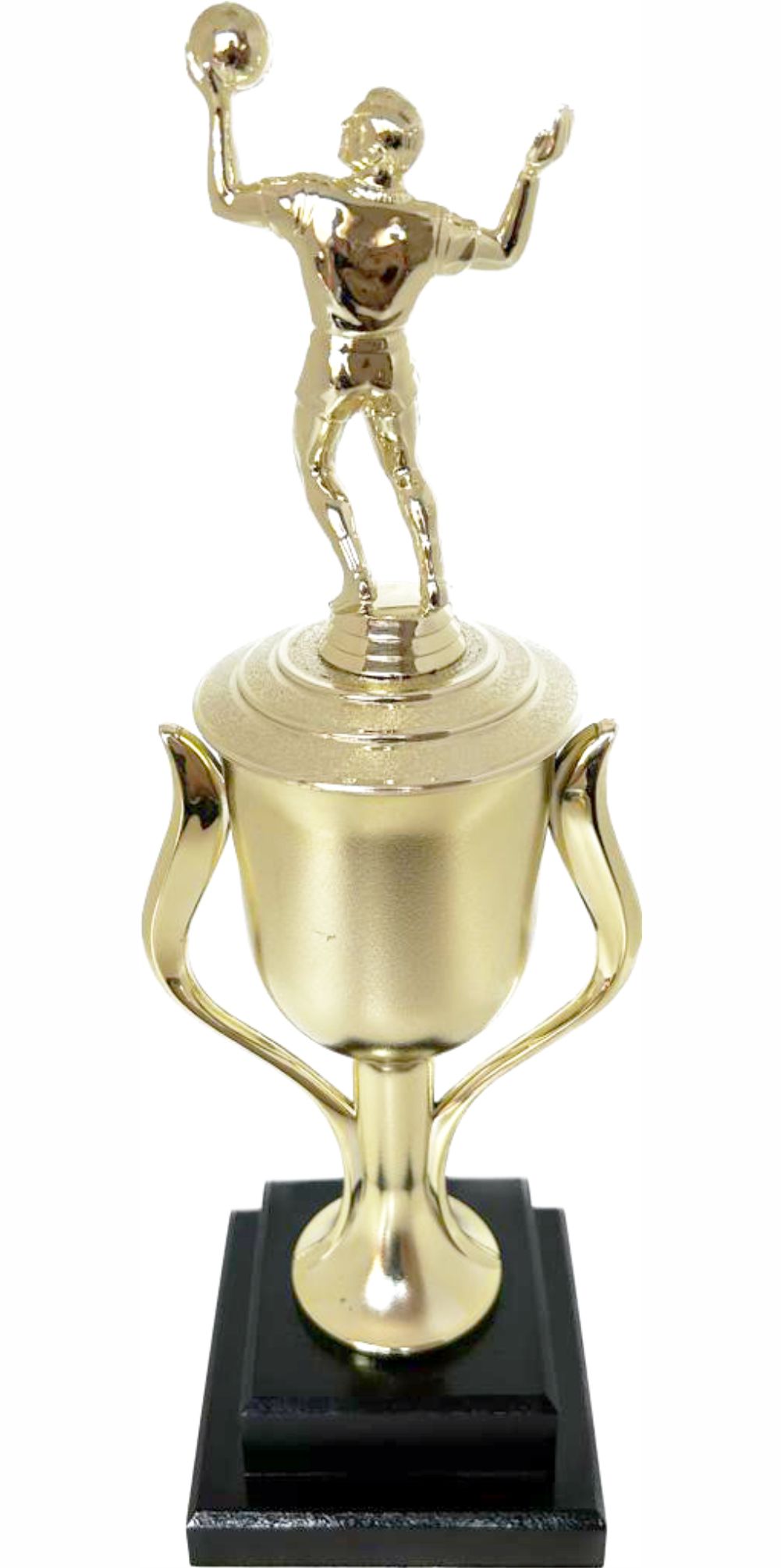 Volleyball Male Trophy 480mm