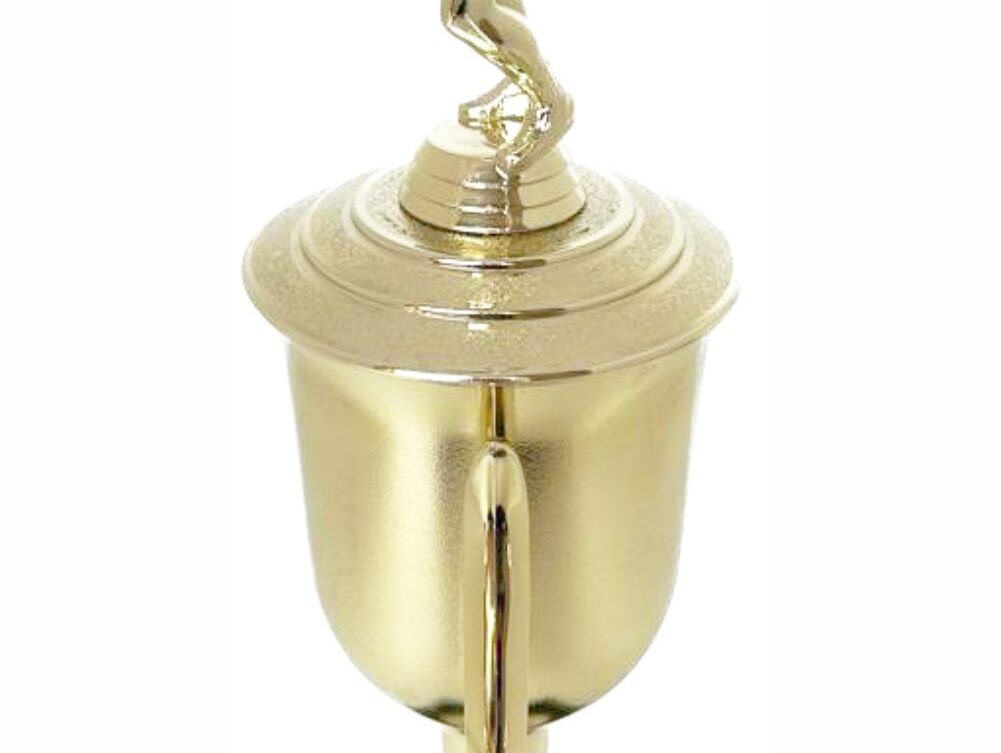 Volleyball Male Trophy 480mm
