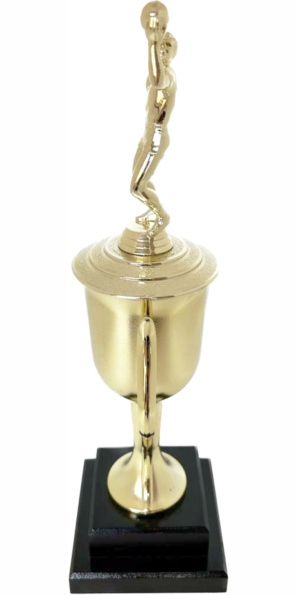 Volleyball Male Trophy 480mm