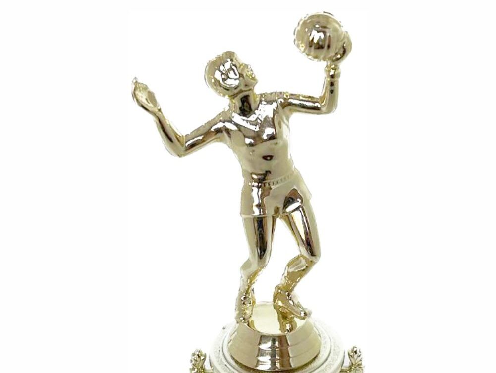 Volleyball Female Trophy 240mm