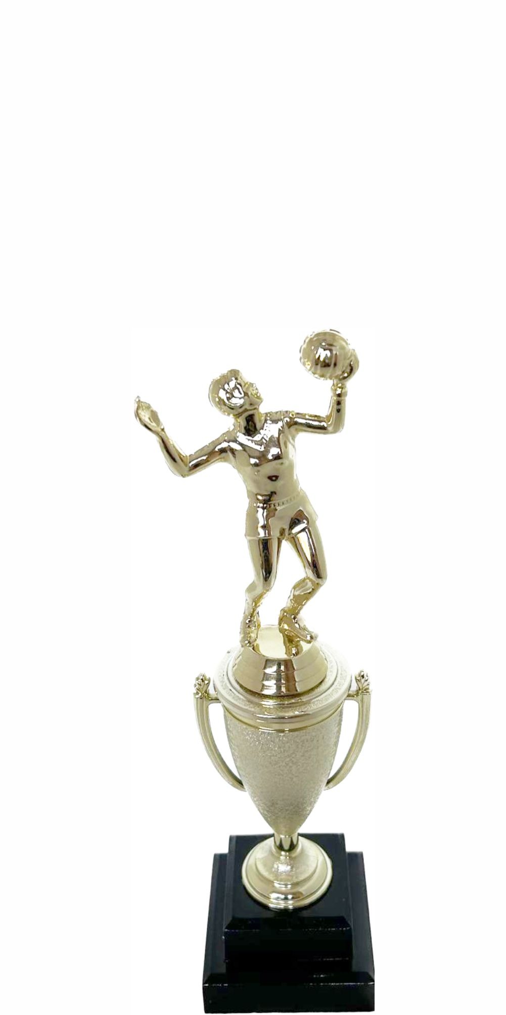 Volleyball Female Trophy 240mm