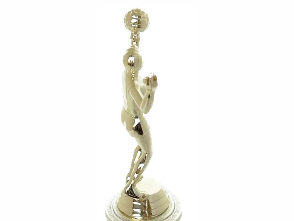 Volleyball Female Trophy 240mm
