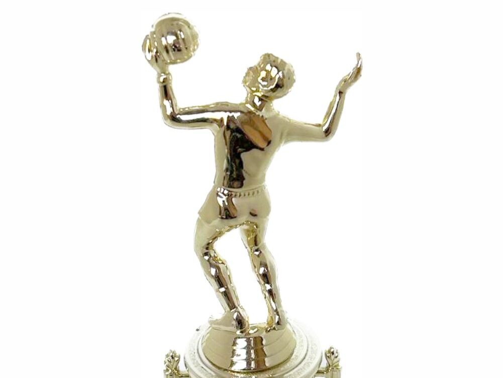 Volleyball Female Trophy 240mm