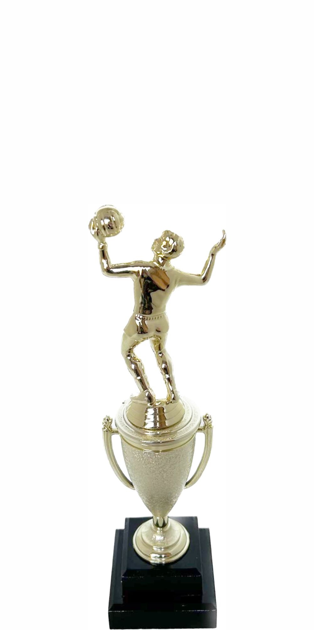 Volleyball Female Trophy 240mm