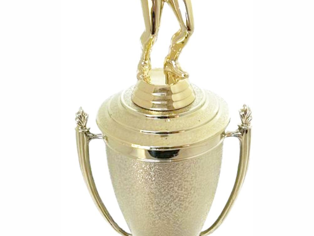 Volleyball Female Trophy 340mm