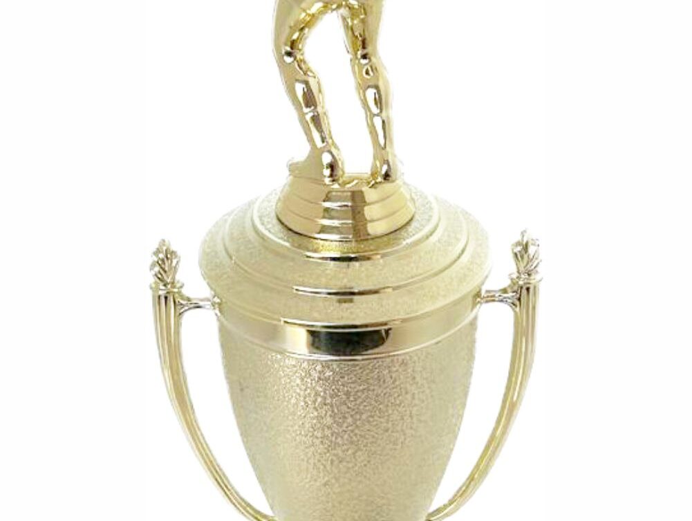 Volleyball Female Trophy 340mm