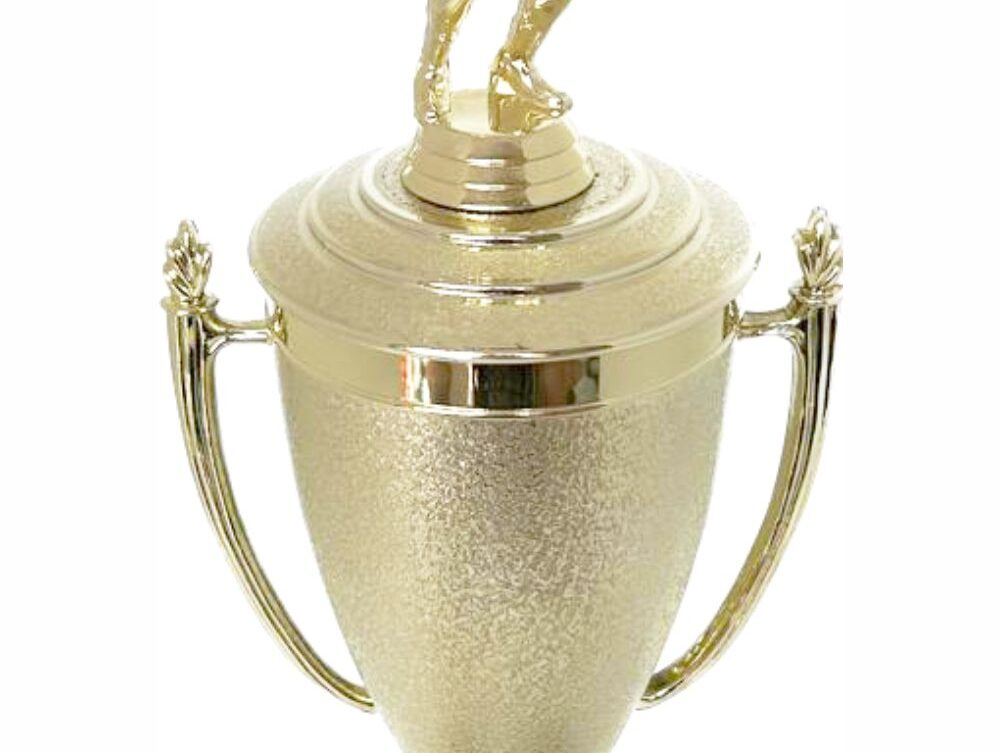 Volleyball Female Trophy 380mm