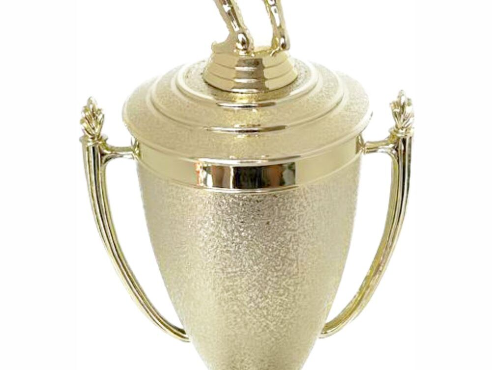 Volleyball Female Trophy 380mm