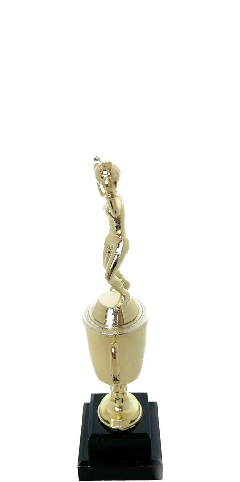 Volleyball Female Trophy 240mm