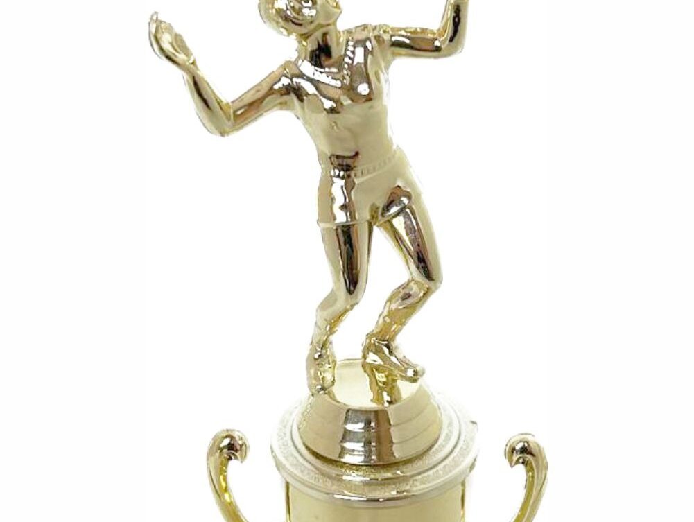 Volleyball Female Trophy 265mm