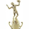 Volleyball Female Trophy 265mm