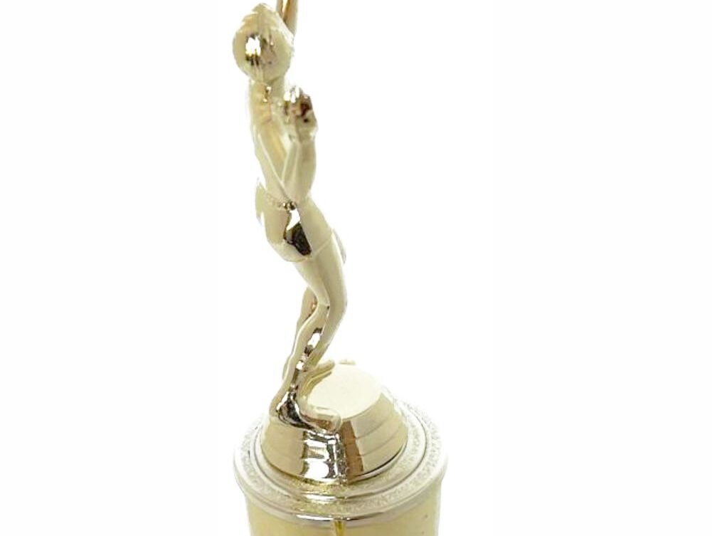 Volleyball Female Trophy 265mm