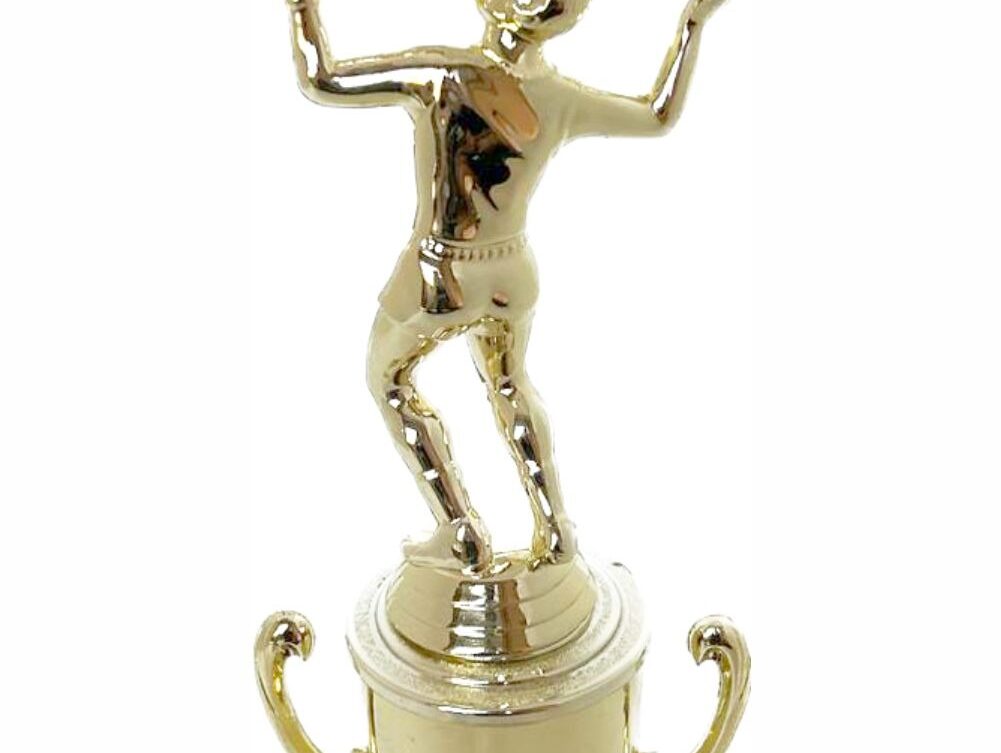 Volleyball Female Trophy 265mm