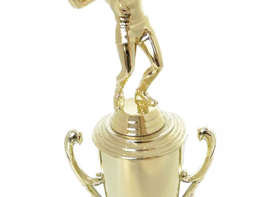 Volleyball Female Trophy 300mm