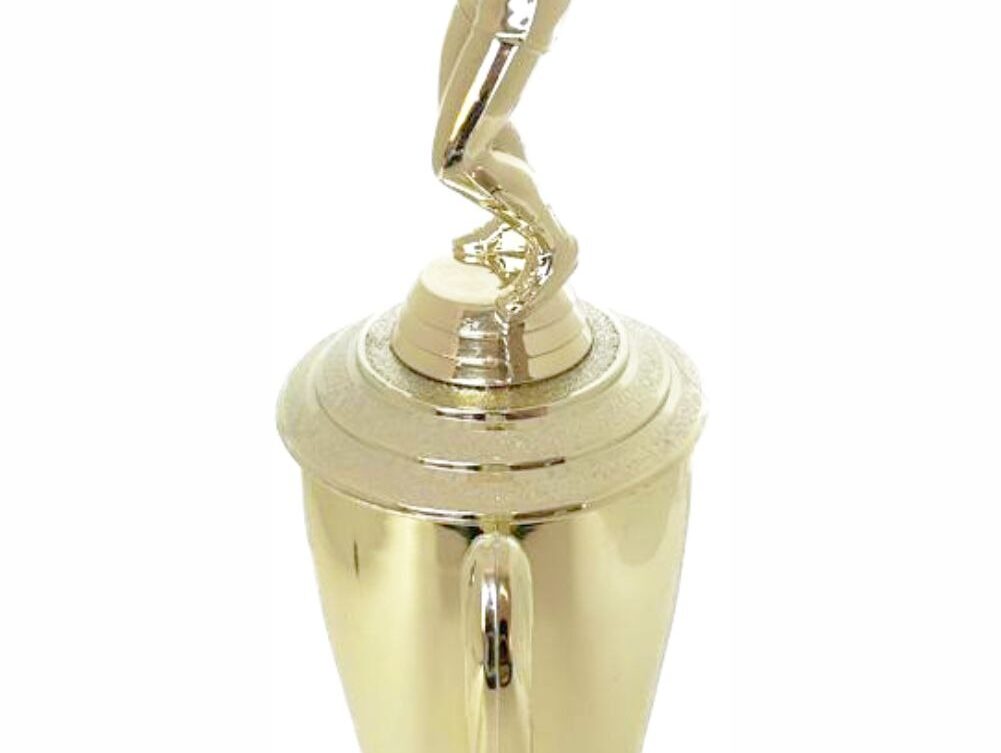 Volleyball Female Trophy 340mm