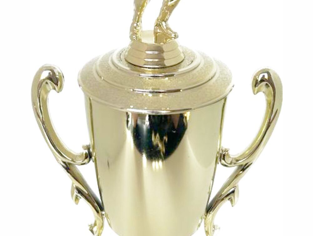Volleyball Female Trophy 380mm