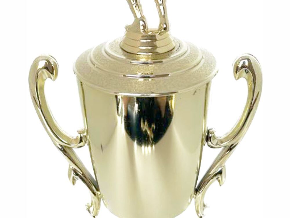 Volleyball Female Trophy 380mm