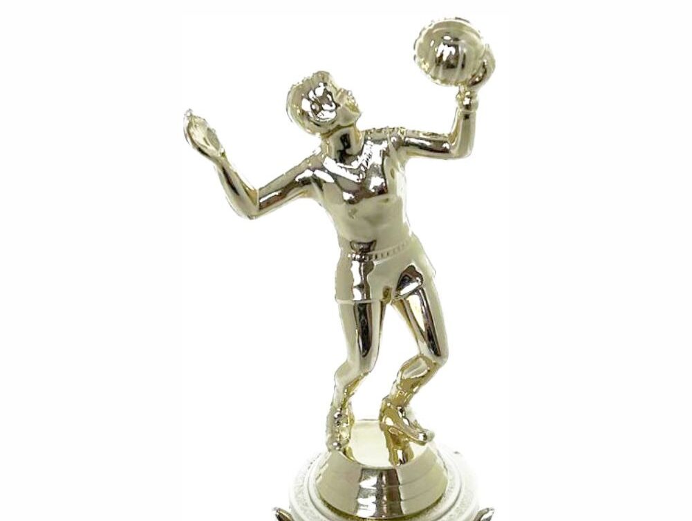 Volleyball Female Trophy 240mm