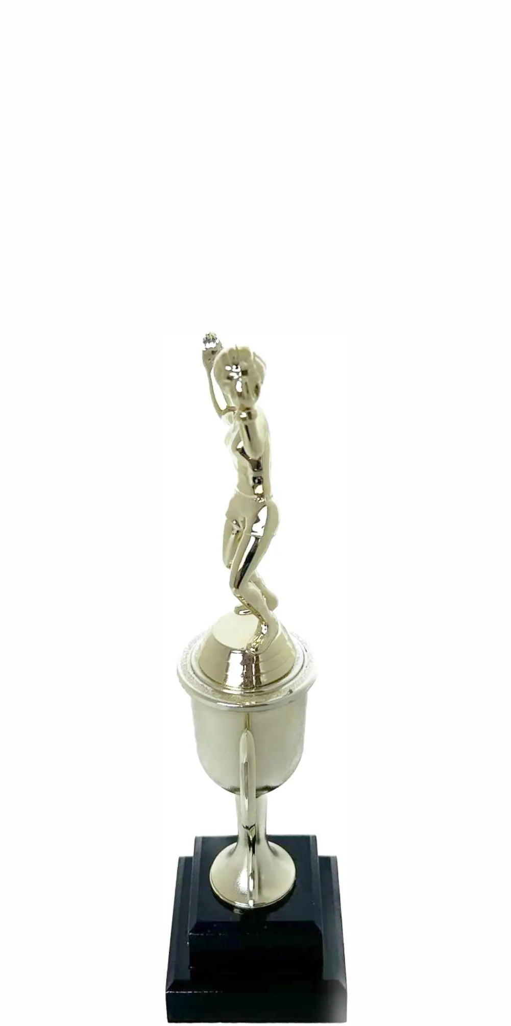 Volleyball Female Trophy 240mm