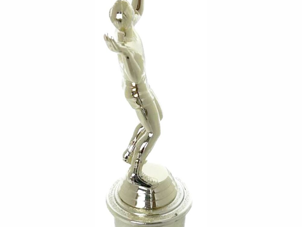 Volleyball Female Trophy 265mm