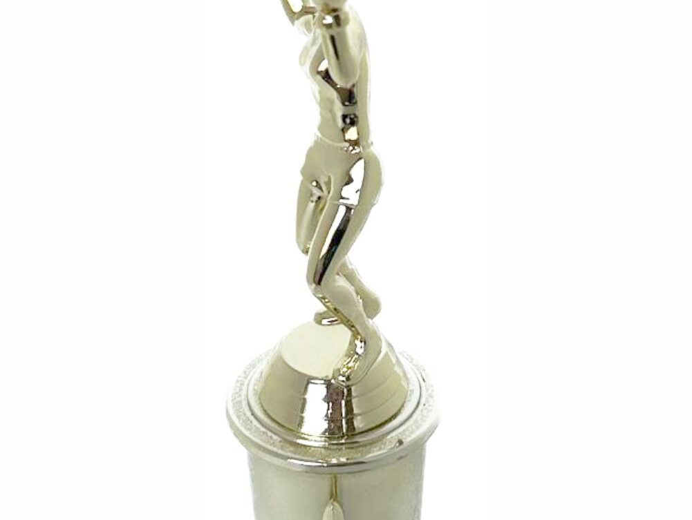 Volleyball Female Trophy 265mm