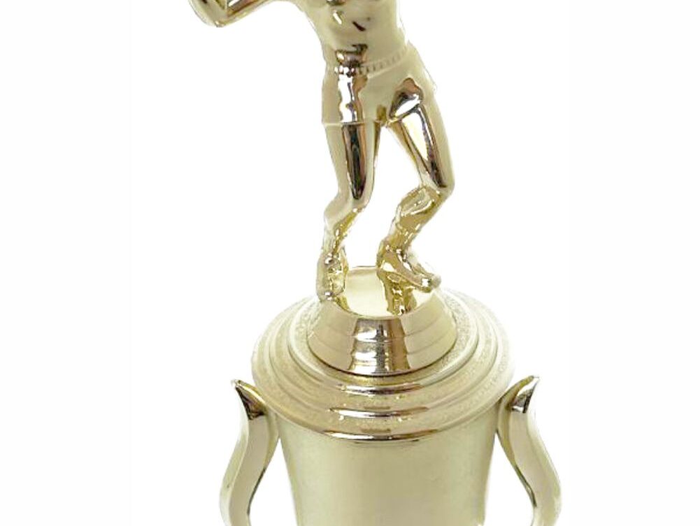 Volleyball Female Trophy 380mm