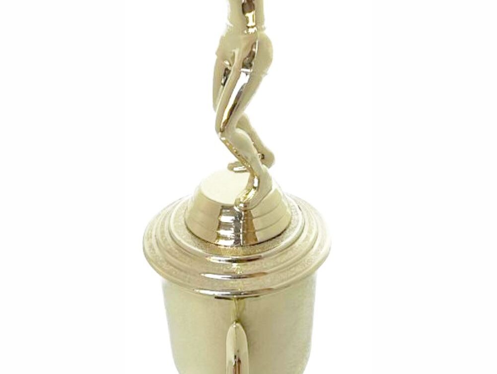 Volleyball Female Trophy 380mm