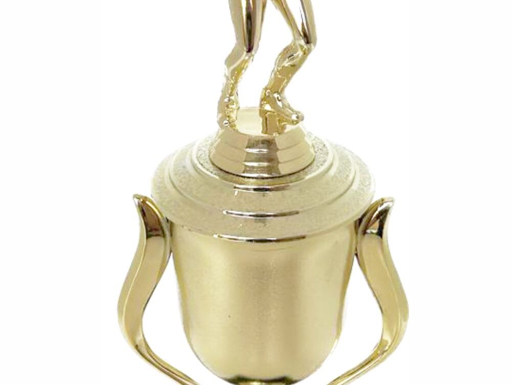 Volleyball Female Trophy 340mm