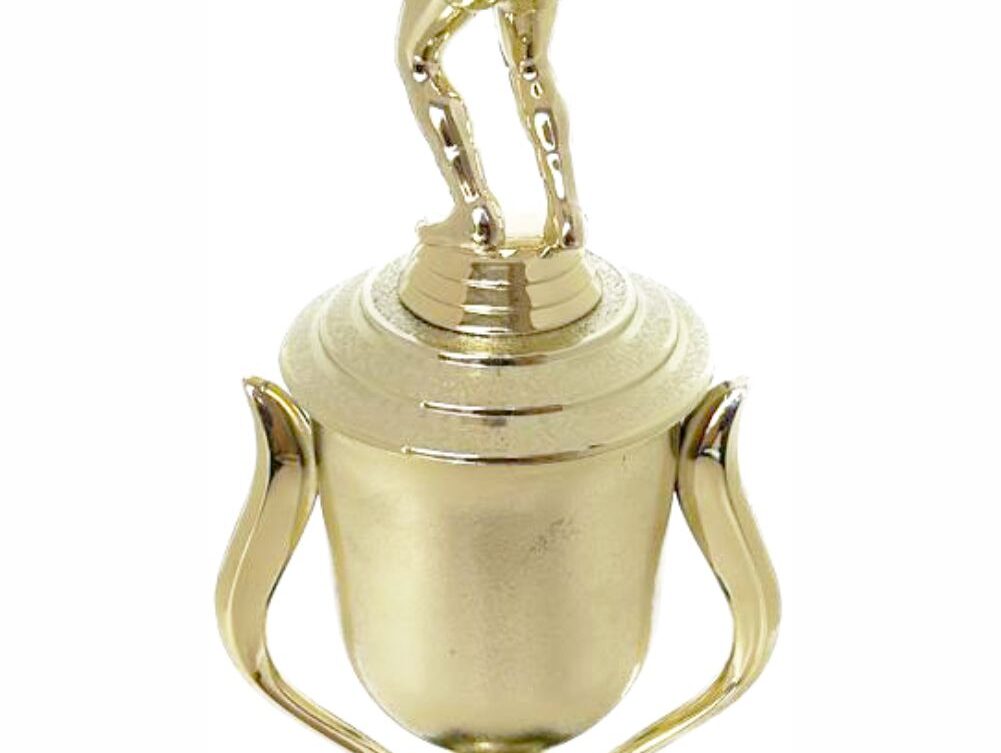 Volleyball Female Trophy 340mm