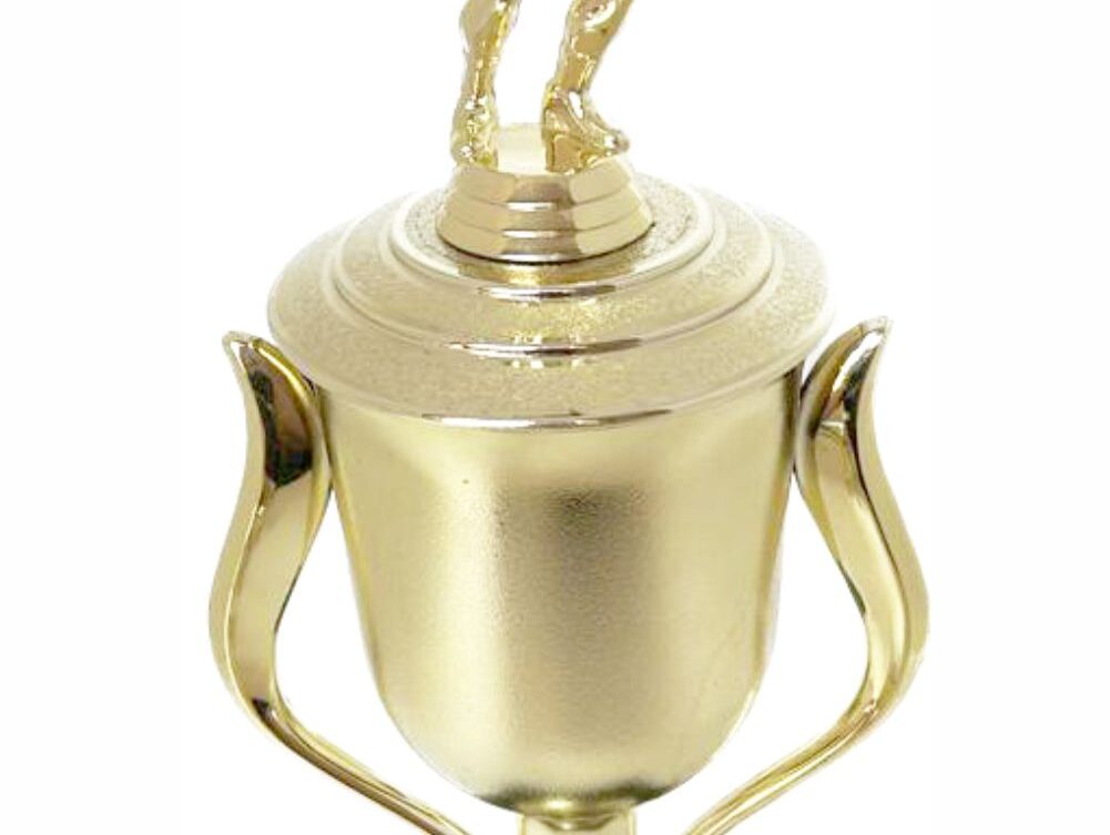 Volleyball Female Trophy 380mm