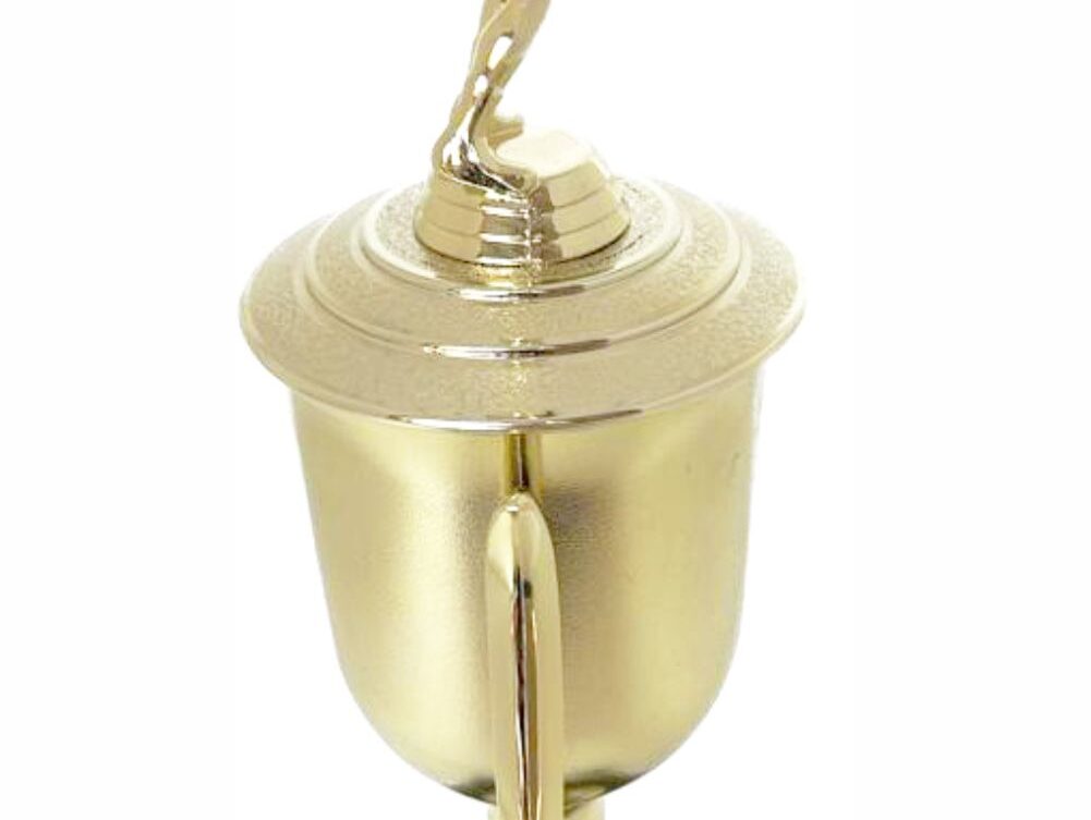 Volleyball Female Trophy 380mm