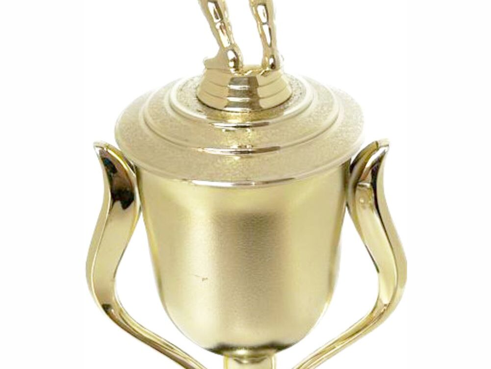 Volleyball Female Trophy 380mm