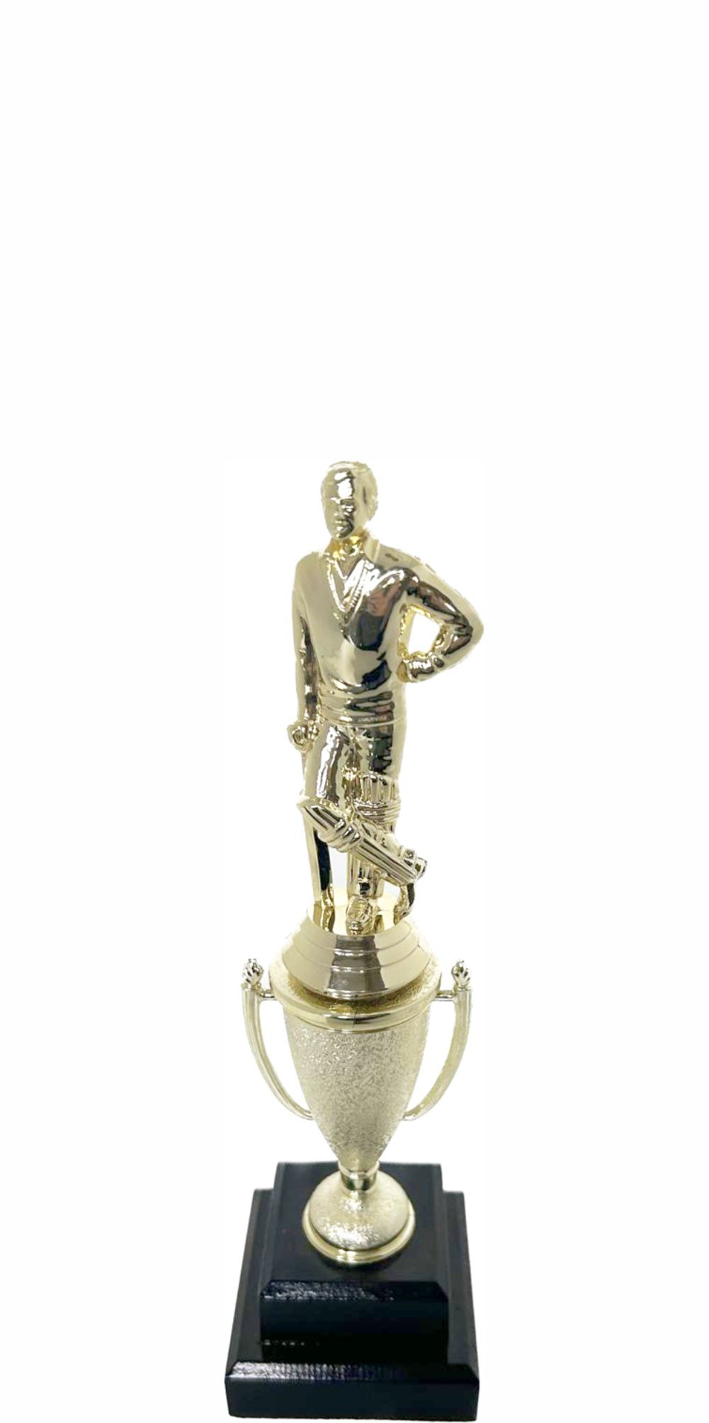 Cricket Batsman Standing Trophy 260mm