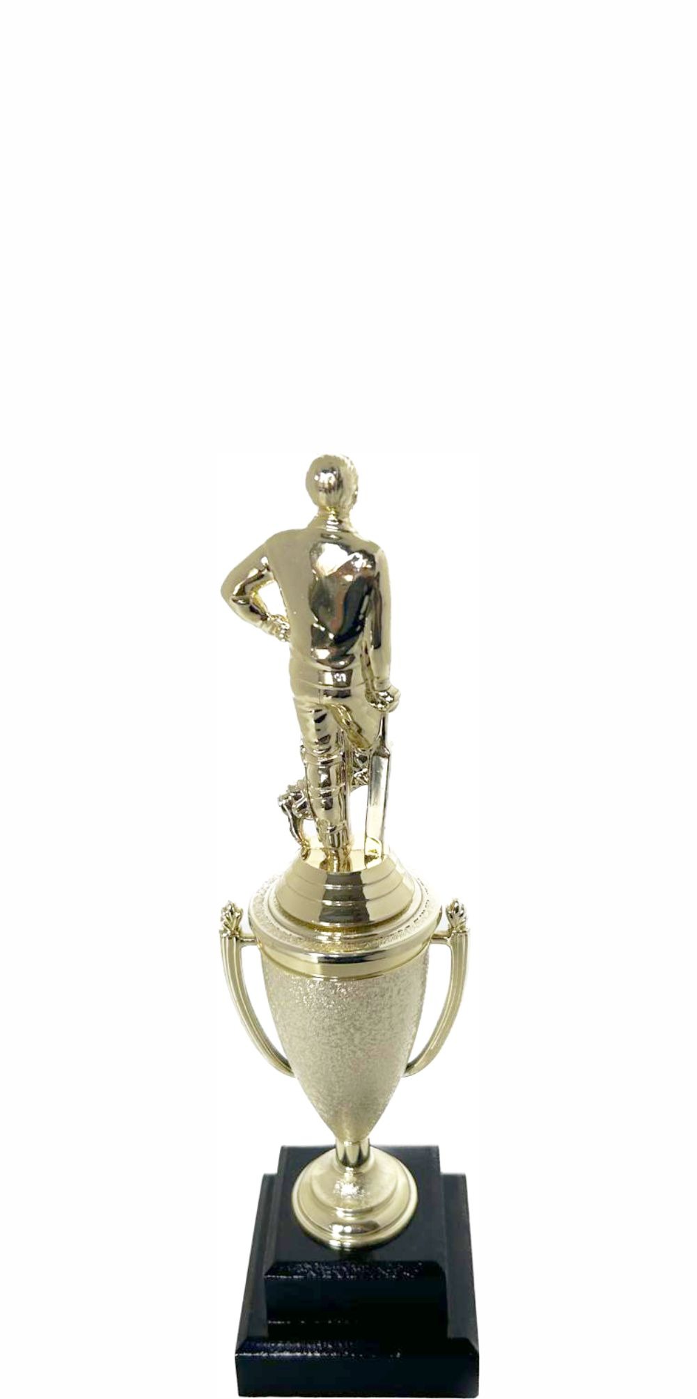 Cricket Batsman Standing Trophy 260mm