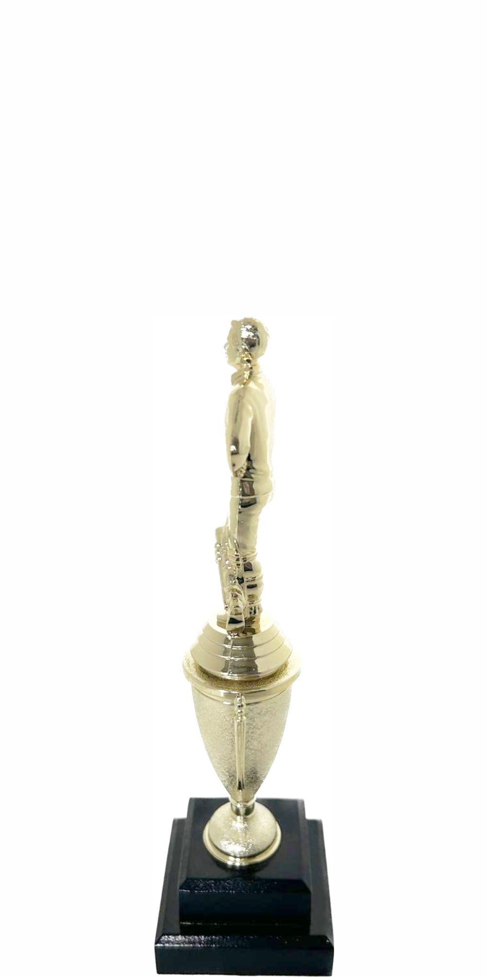 Cricket Batsman Standing Trophy 260mm