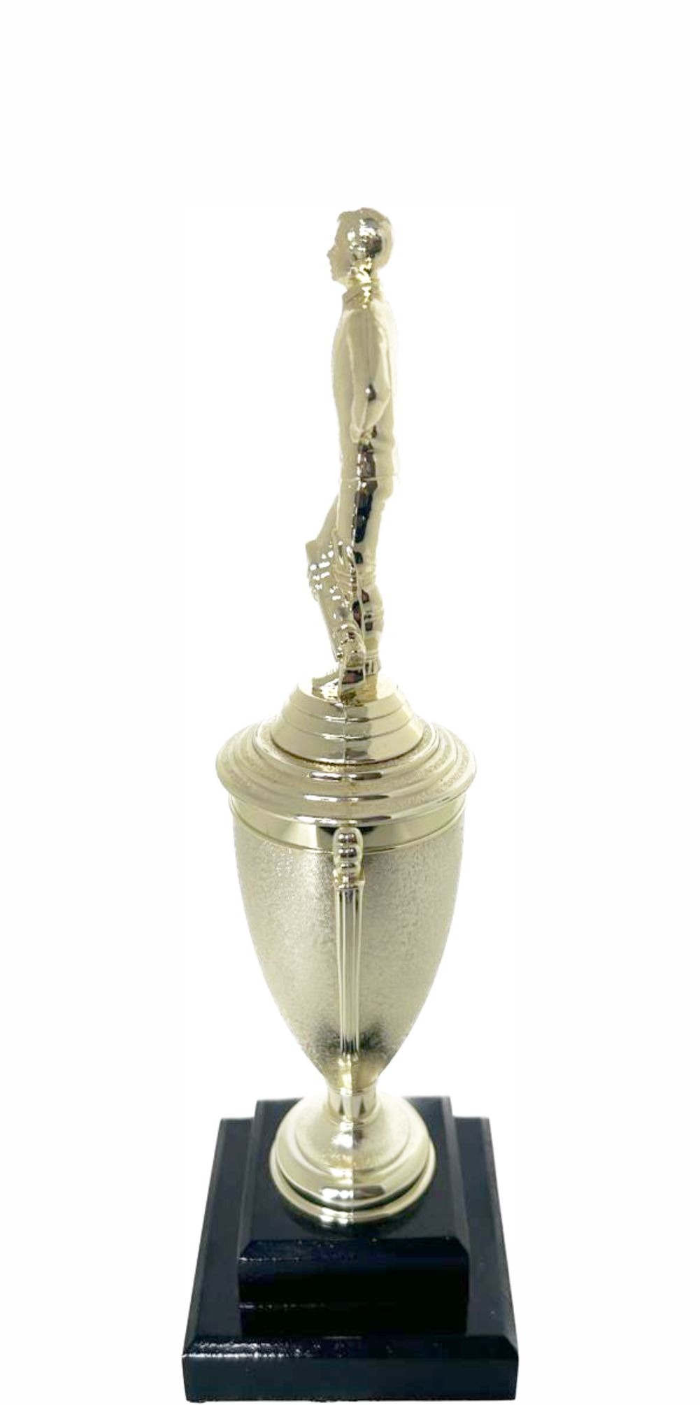 Cricket Batsman Standing Trophy 310mm