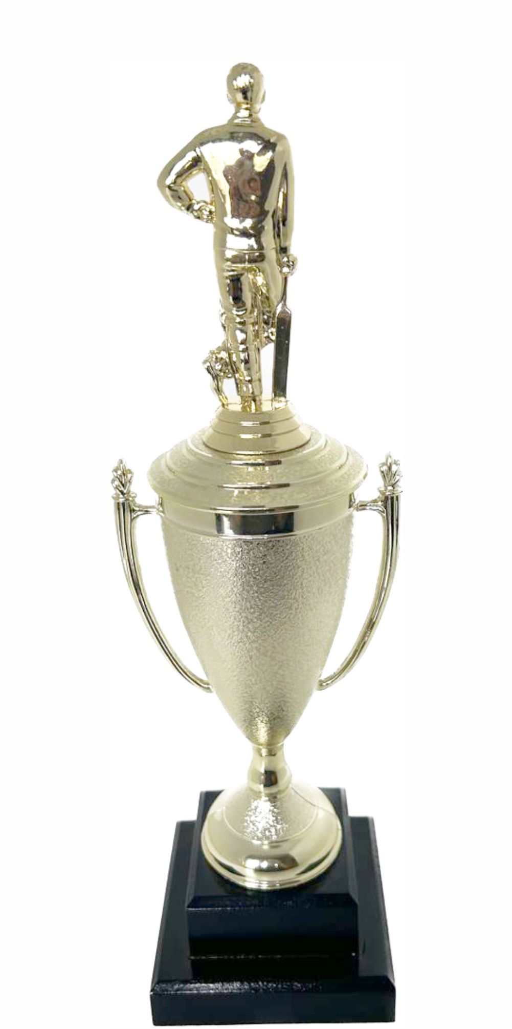 Cricket Batsman Standing Trophy 350mm