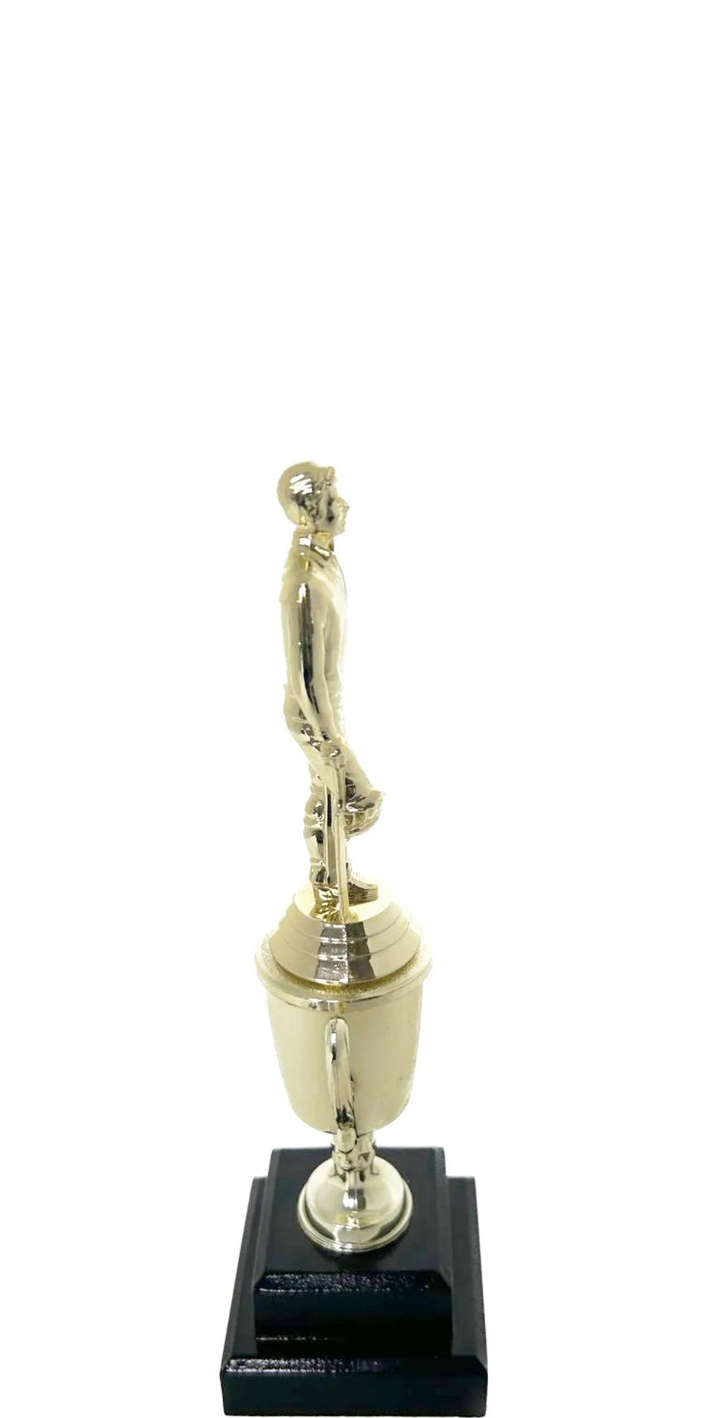 Cricket Batsman Standing Trophy 260mm