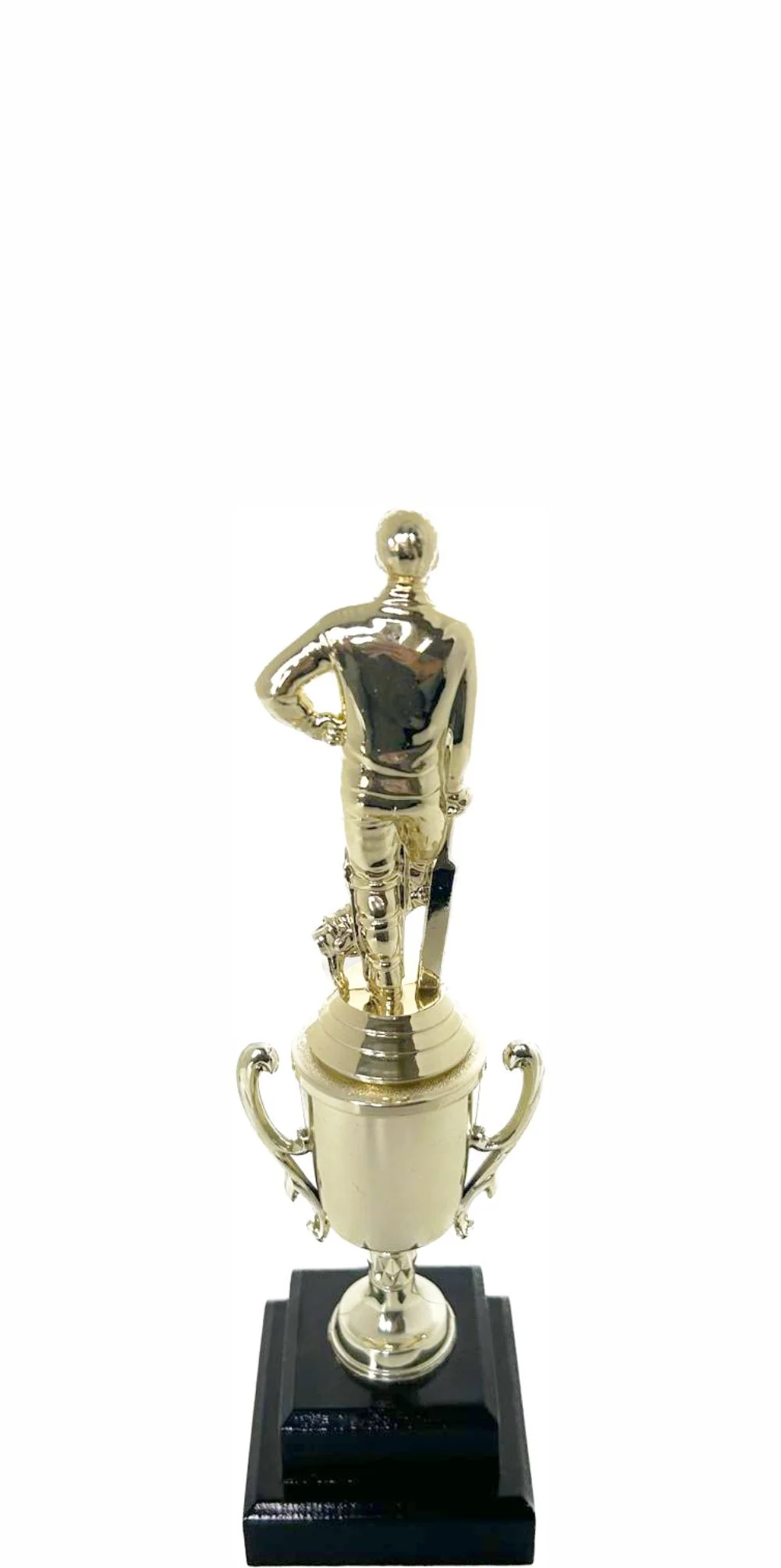 Cricket Batsman Standing Trophy 260mm