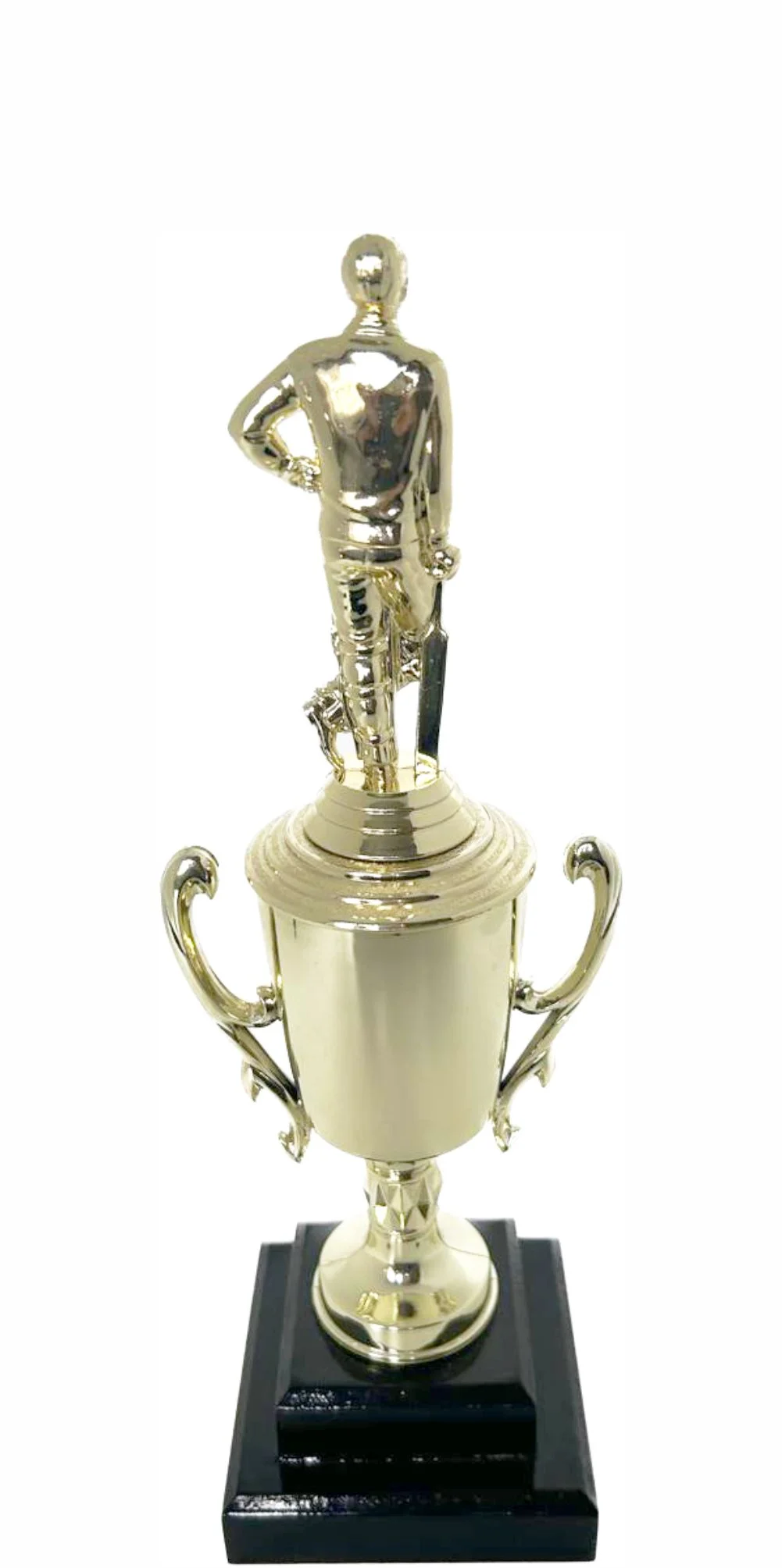 Cricket Batsman Standing Trophy 310mm