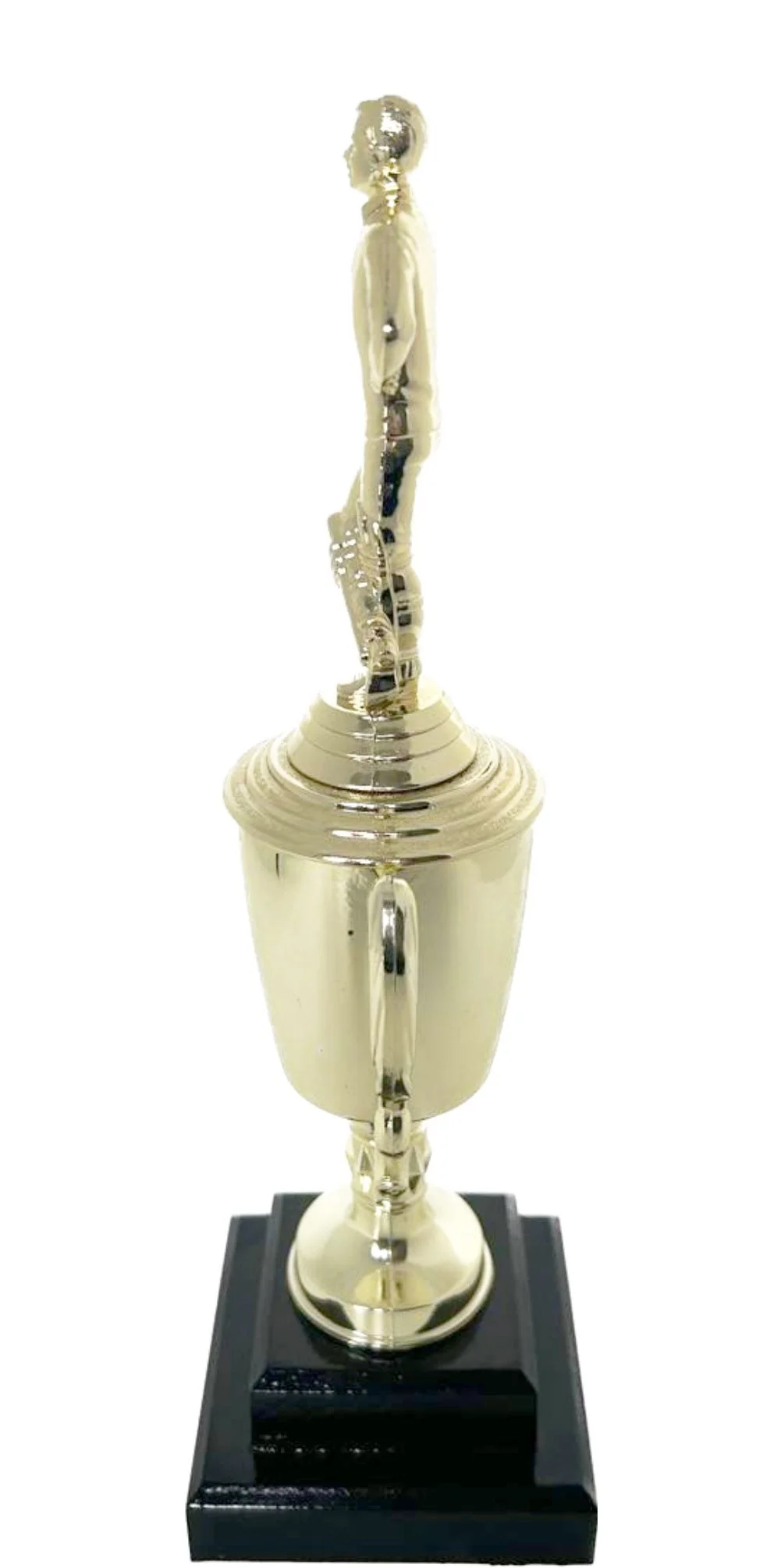 Cricket Batsman Standing Trophy 350mm