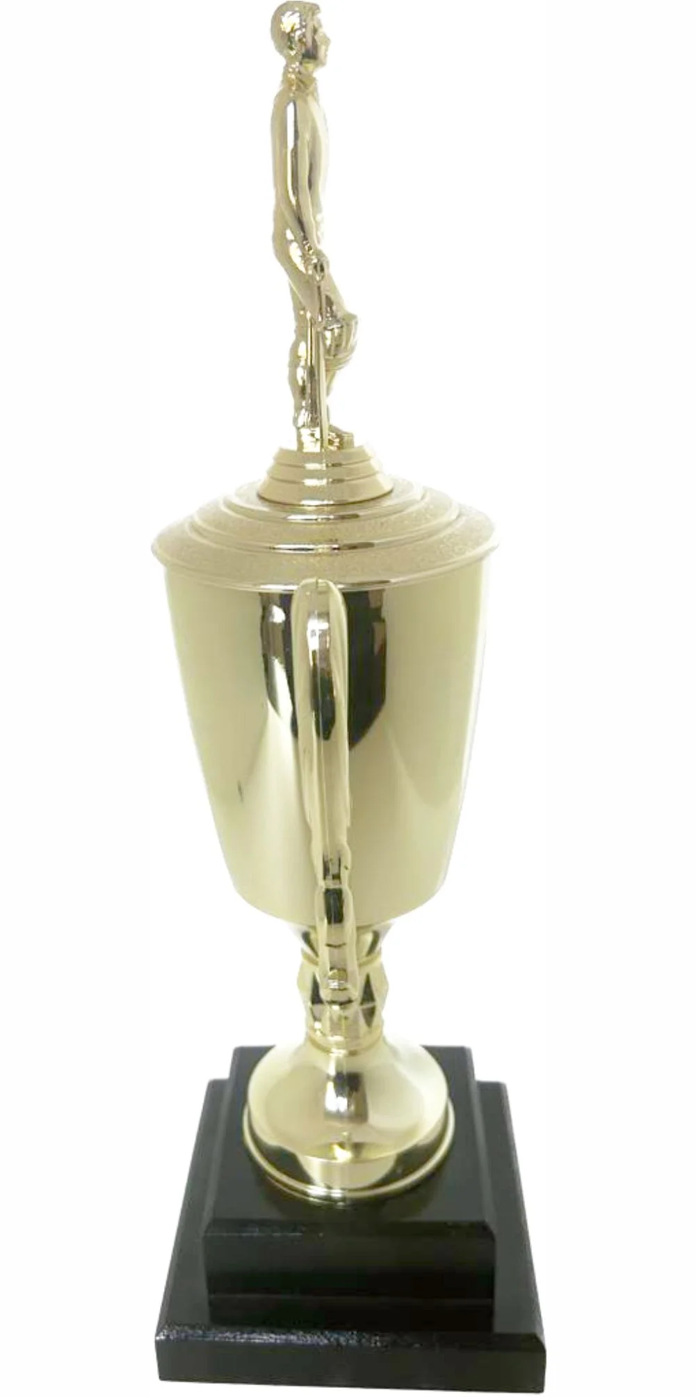 Cricket Batsman Standing Trophy 390mm