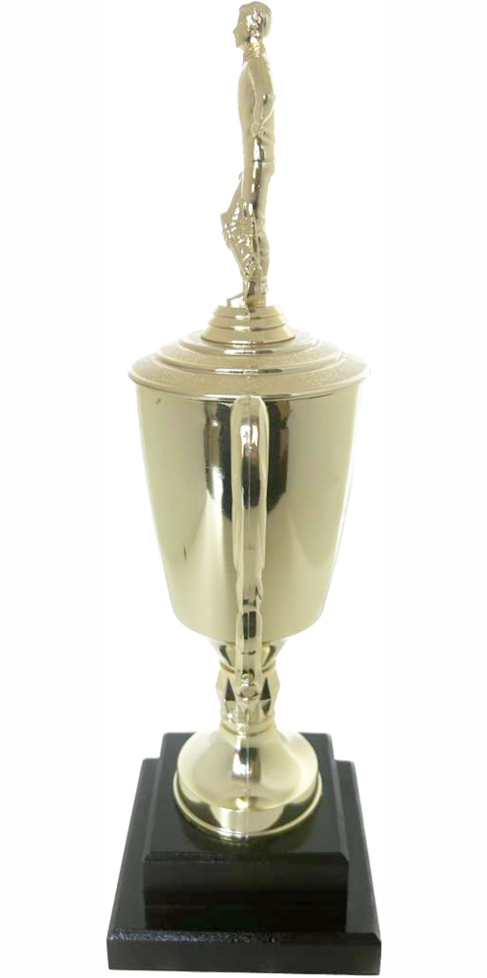 Cricket Batsman Standing Trophy 390mm