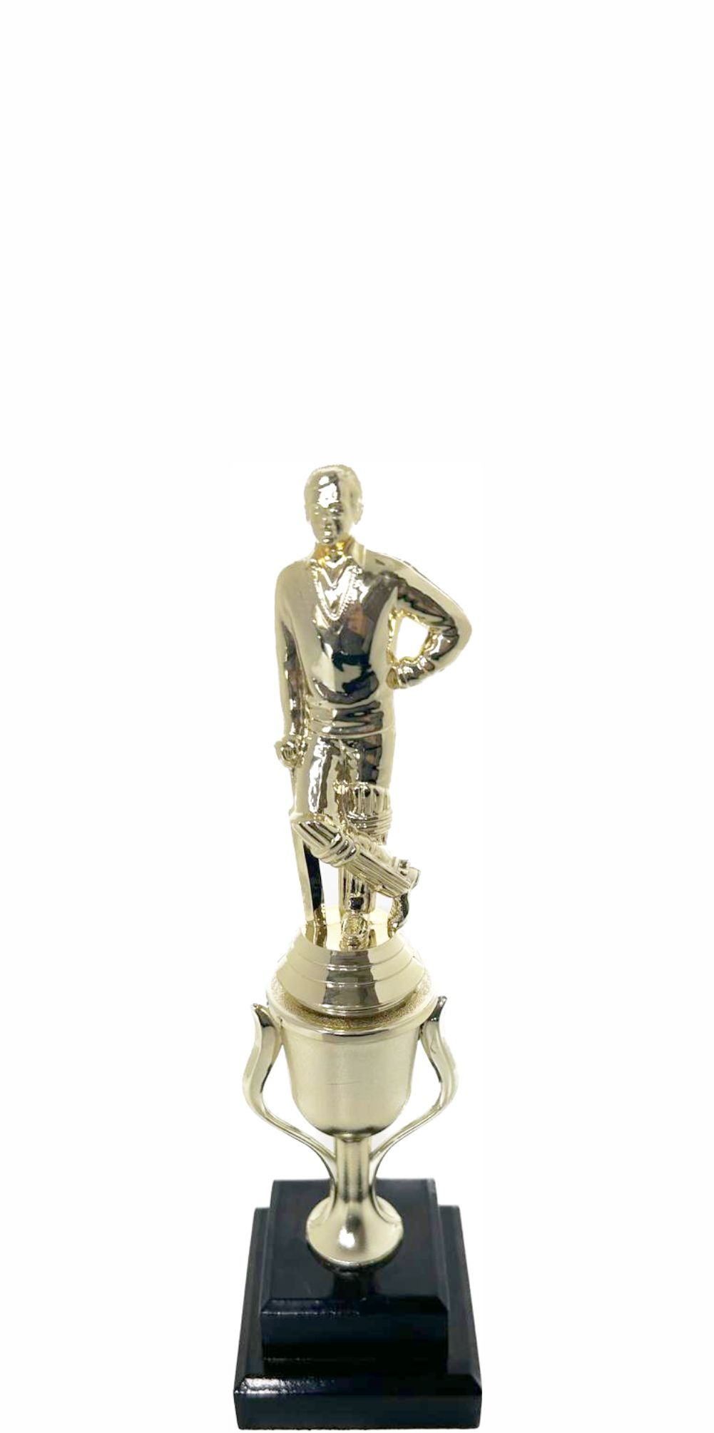 Cricket Batsman Standing Trophy 260mm