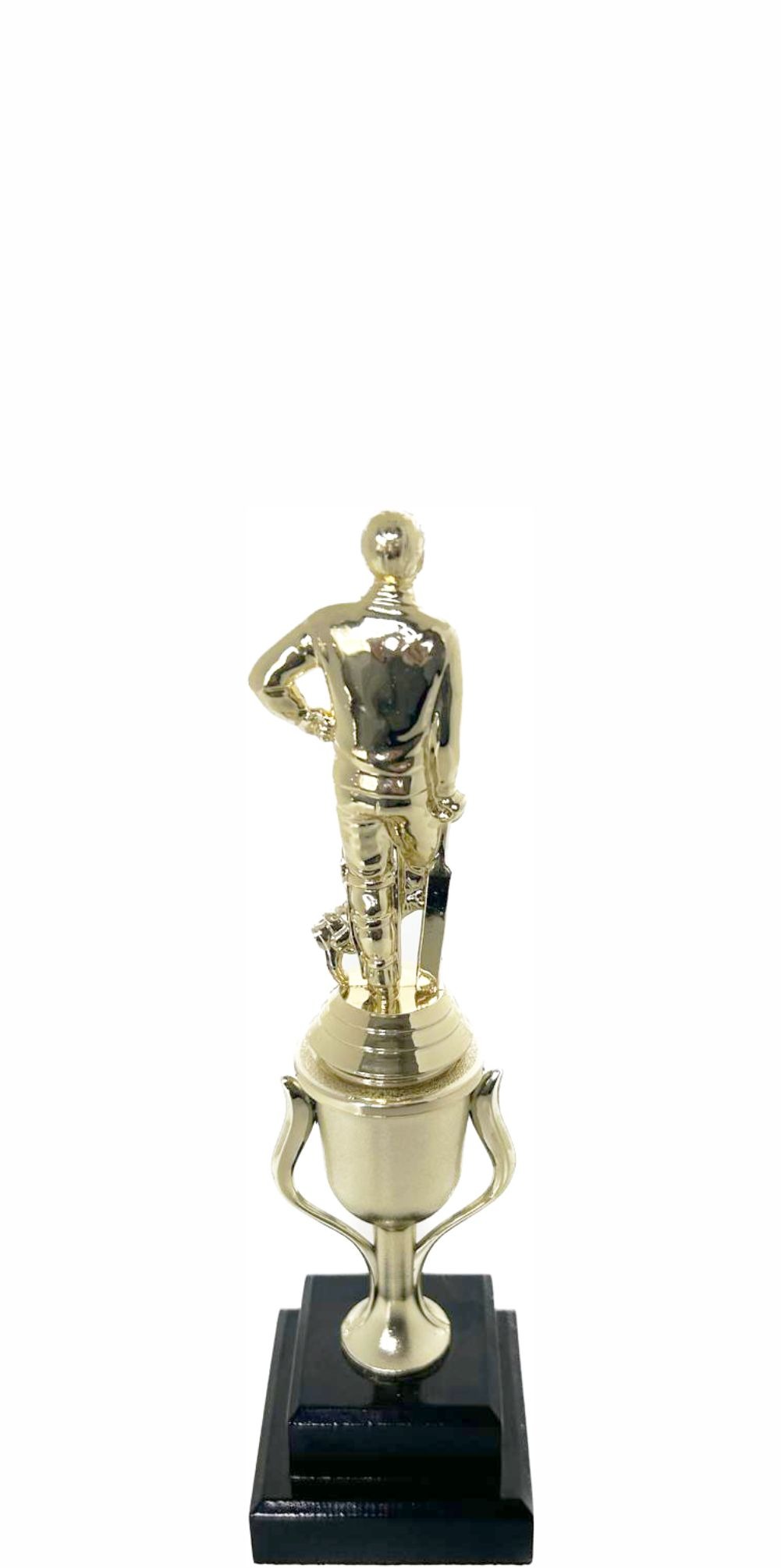 Cricket Batsman Standing Trophy 260mm